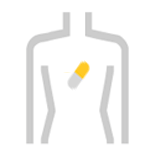 従来型サプリメント